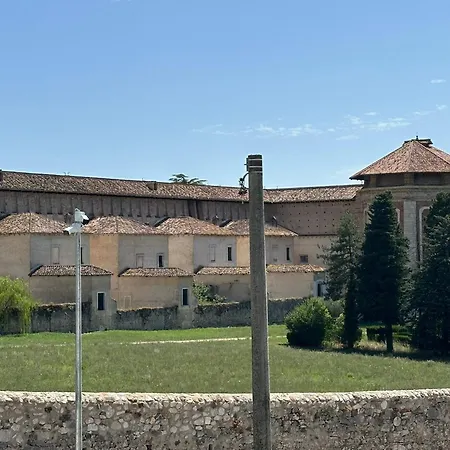 D'moro Quietea Padula